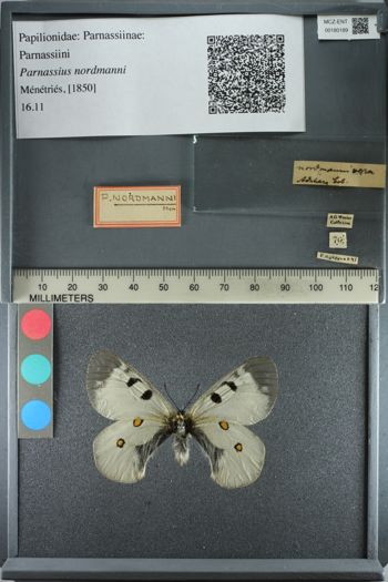 Media type: image;   Entomology 180189